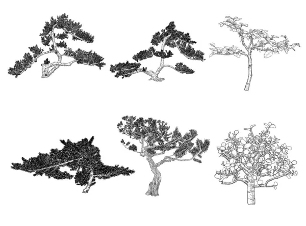 Набор Деревьев Бонсай Ручной Рисунок Черно Белых Растений Иллюстрация Установлена — стоковый вектор