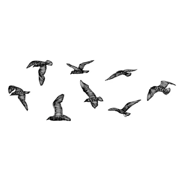 Set Seagulls Birds Nautical Sailor Tattoo Sketch Black Stroke Flying — Stock Vector
