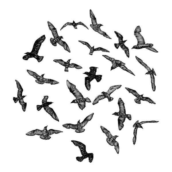 Ensemble Oiseaux Mouettes Croquis Tatouage Marin Nautique Coup Noir Silhouettes — Image vectorielle