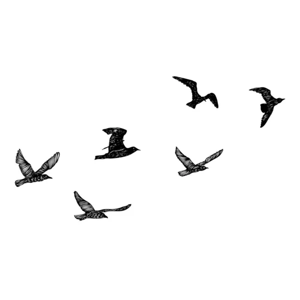 Set Uccelli Gregge Gabbiani Volanti Disegnato Mano Schizzo Strutturato Uccelli — Vettoriale Stock