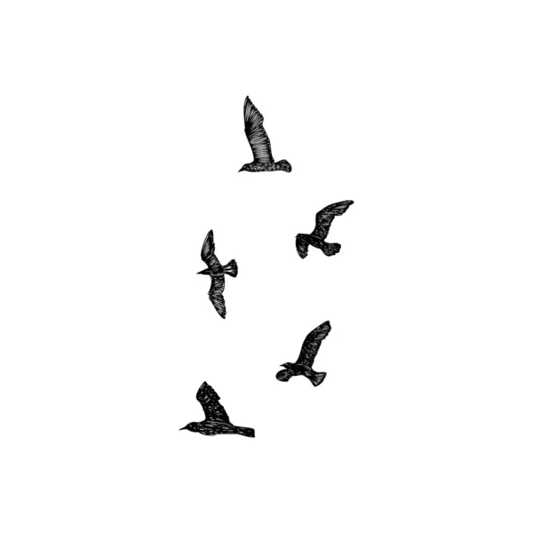 Set Pennellate Nere Disegnate Mano Uccelli Gabbiani Gregge Disegno Schizzo — Vettoriale Stock