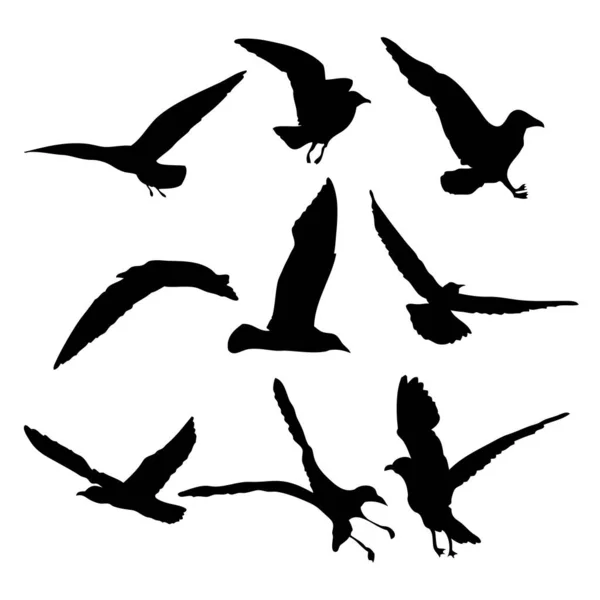 Silueta Aves Gaviotas Voladoras Sobre Fondo Blanco Inspiración Vela Cuerpo — Vector de stock