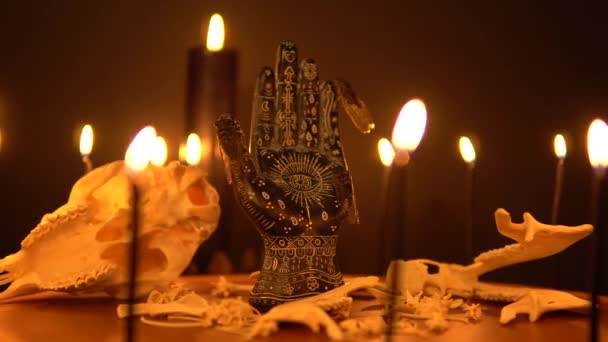 Black Fortune Teller Hand Constellations Reader Table Magic Animal Bones — Stock Video