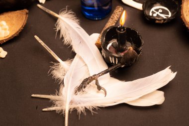 Cadılık, seçici bir şekilde karga ya da kuzgun tırnağı odaklı bir hayat sürüyor. Cadılar Bayramı için esrarengiz gotik ve okült cadı masası. Sihirli nesneler ve ayin düzenlemeleri. Sığ alan derinliği. 