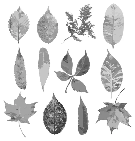 Fondo de hojas de otoño caídas — Archivo Imágenes Vectoriales