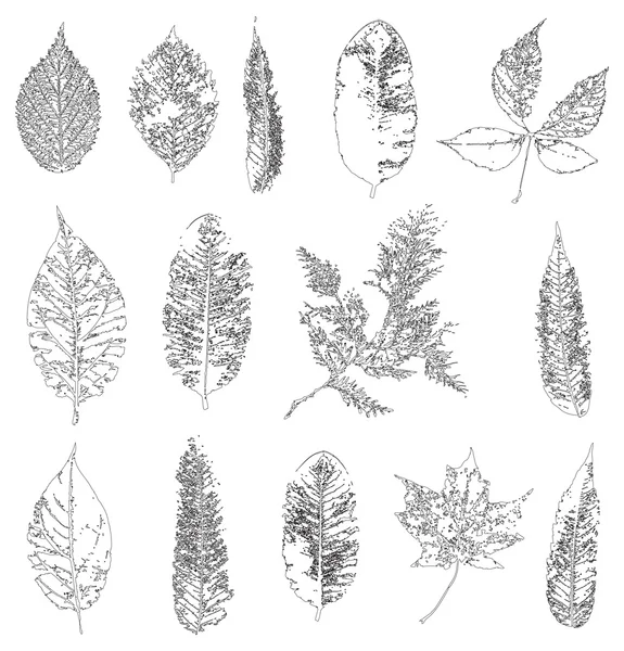 Contexte des feuilles d'automne tombées — Image vectorielle
