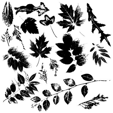 Leaf silhouettes set clipart