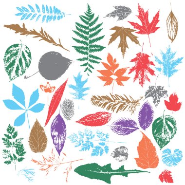 Yaprak siluetleri seti