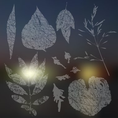 Yaprak siluetleri koleksiyonu