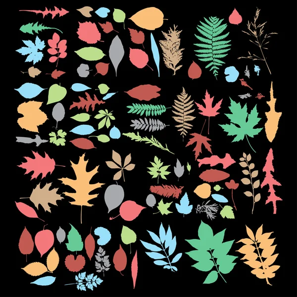 Autumn leaves set — Stock Vector