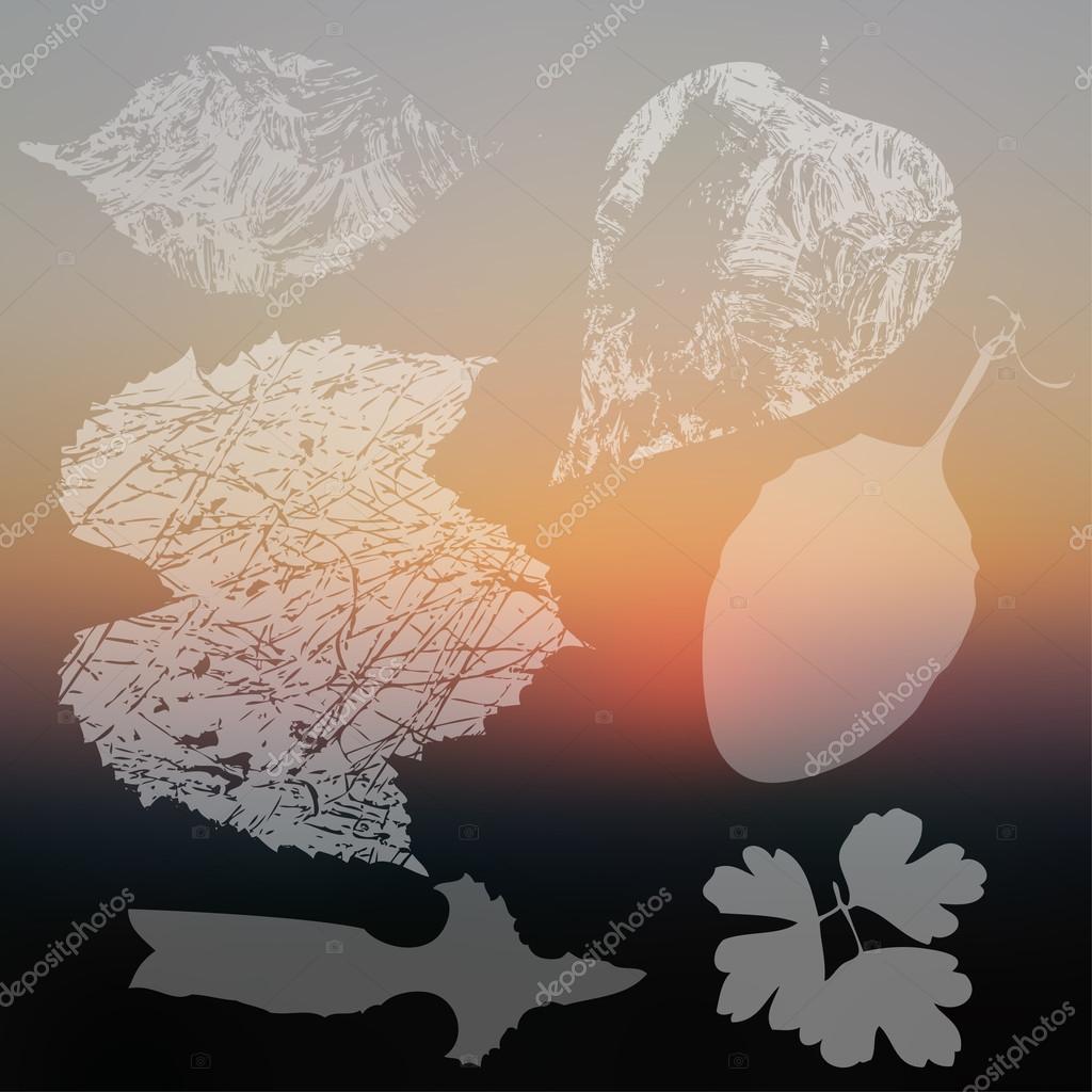 My Image 30