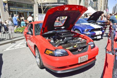 Yıllık Yorkville egzotik araba gösterisi