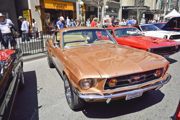 Jaarlijkse Yorkville exotische auto Show — Stockfoto