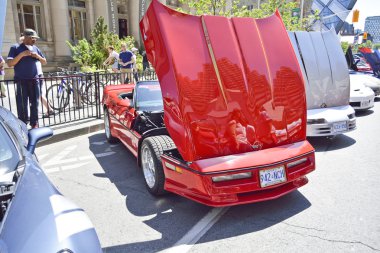 Yıllık Yorkville egzotik araba gösterisi