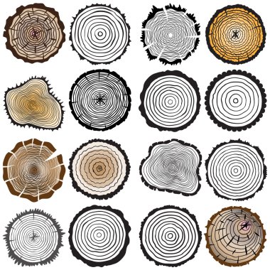 Ağaç gövdesi kesmek testere