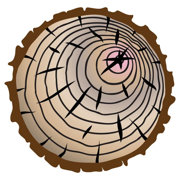 Corte tronco de árbol — Archivo Imágenes Vectoriales