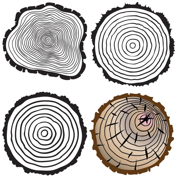 Cut tree trunk — Stockvector