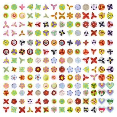 güzel renkli çiçekler