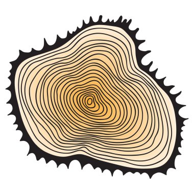 Cut tree trunk