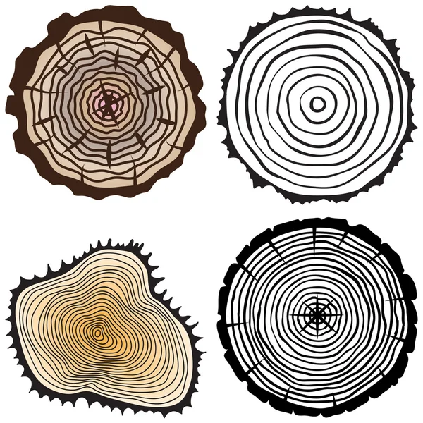 Tronc d'arbre coupé — Image vectorielle