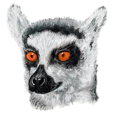 Lemur tablete boyalı.