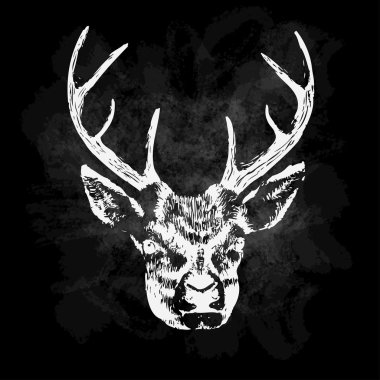 Geyik kafası el çekilmiş