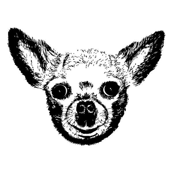 Chien mignon de race Chihuahua — Image vectorielle