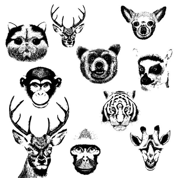 Ahogar a mano animales grunge , — Vector de stock