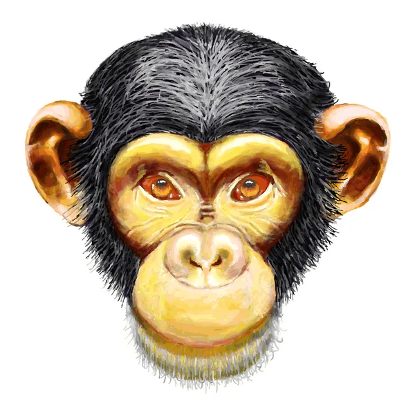 Grunge Bosquejo de chimpancé — Vector de stock