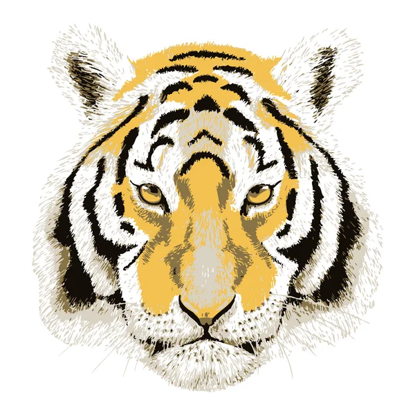 Vector Portrait of a Tiger. — Stock Vector