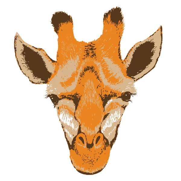 Girafe visage, grunge — Image vectorielle