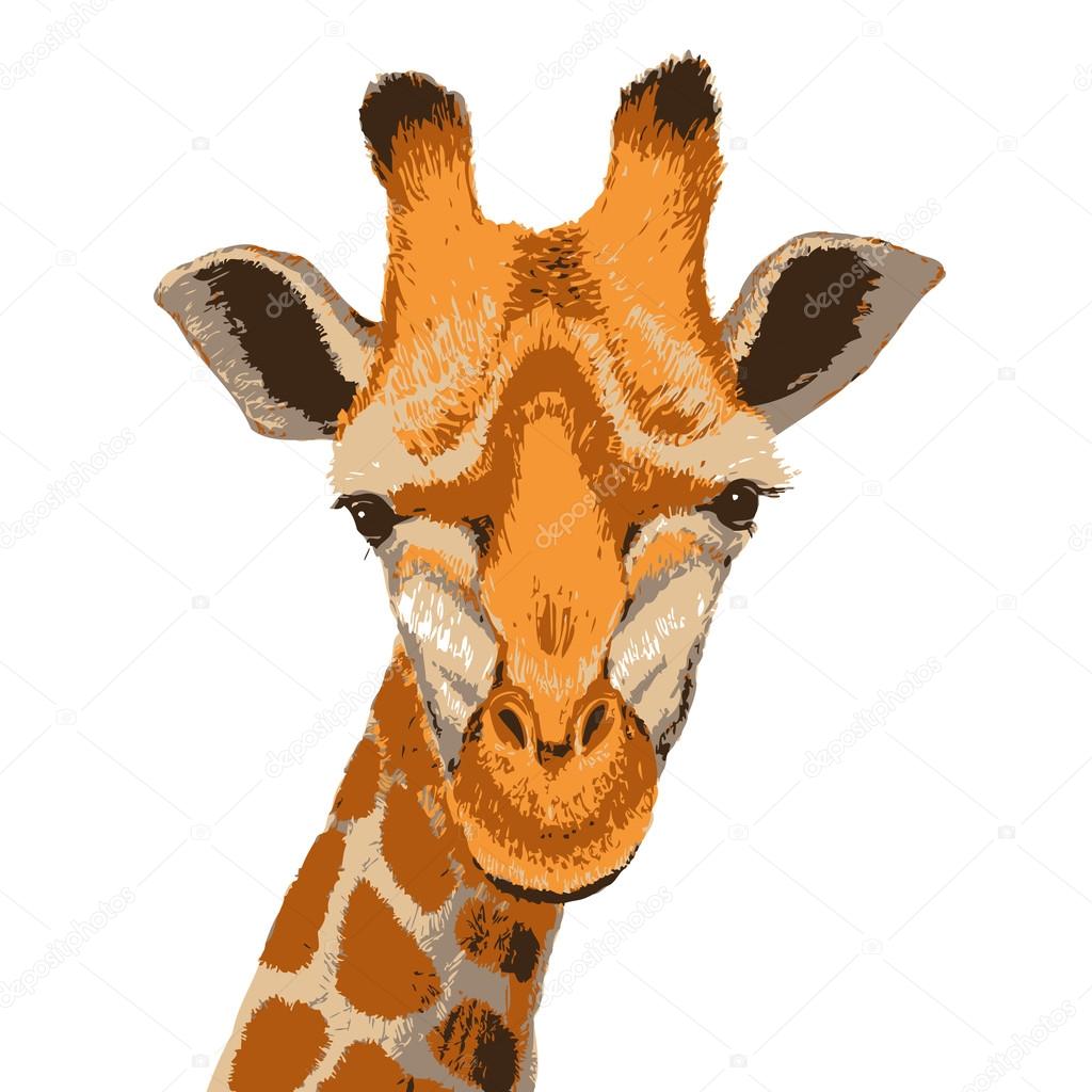 giraffe face, grunge