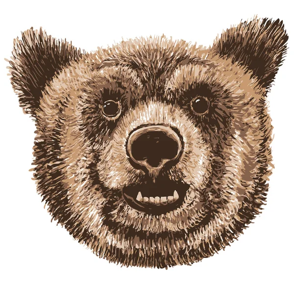 Illustration vectorielle Marqueur ours dessiné à la main — Image vectorielle