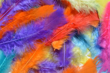 tüyler arka plan dokusu