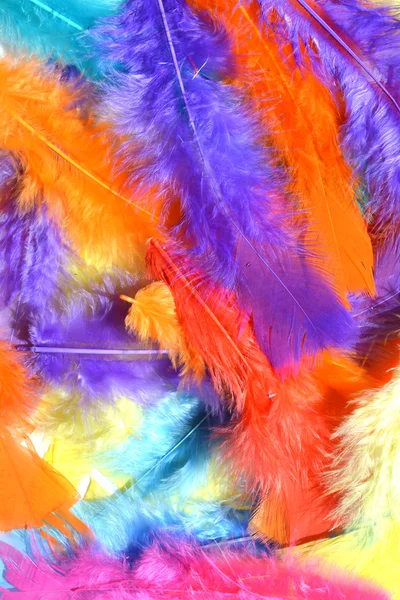 Plumas fondo textura — Foto de Stock