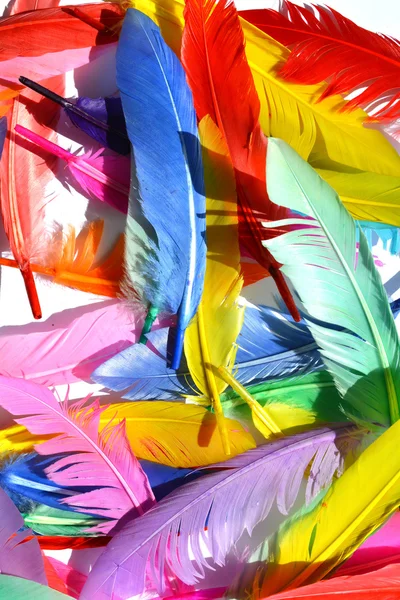 Feathers background texture — Stock Photo, Image