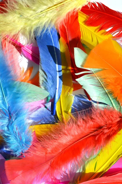 Feathers background texture — Stock Photo, Image