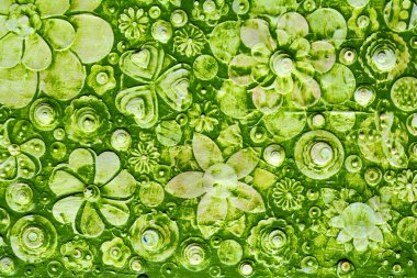 yaz yeşil hawaiian çiçek desenli