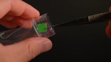 Uyuşturucu satıcısının elleri küçük plastik poşetteki LSD şeritlerini gösteriyor. Kağıt şeritlere Lysergic asit damlaları. Lucy ya da Ellis D. Kulüp, parti ve sokakta satılıyor. Yasadışı uyuşturucu kaçakçılığı.