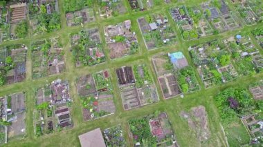 Urban garden care by community patrons, family farming and small gardens for food growing in the city near homes. Growing vegetables and family agriculture in urban area. Aerial view.