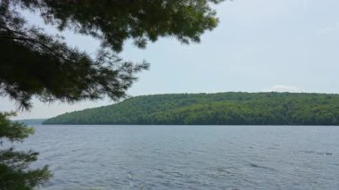 Kır evindeki göl suyunun üzerindeki orman manzarası güneşli bir yaz gününde vahşi doğada huzurlu bir manzara. Sakin göl mavi gökyüzü, sakin Hastings Highlands, Bancroft, Ontario, Kanada.