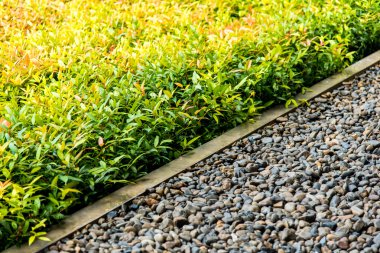 Beton kenar çalı ve çakıl arasında ayrı
