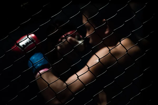 Strong fighter in cage — Stock Photo, Image