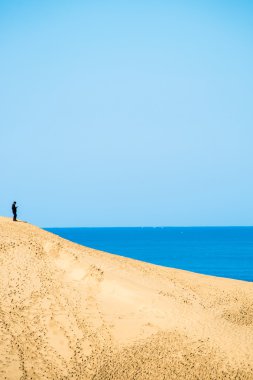 Tottori kum tepeleri ve plaj