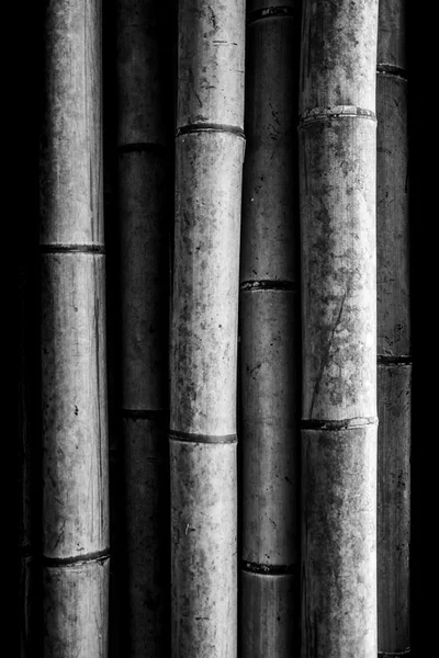 Bambus tułowia tło — Zdjęcie stockowe