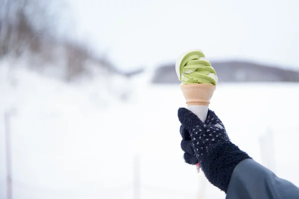 Tè verde (Matcha) e gelato al gusto di vaniglia Crema morbida — Foto Stock