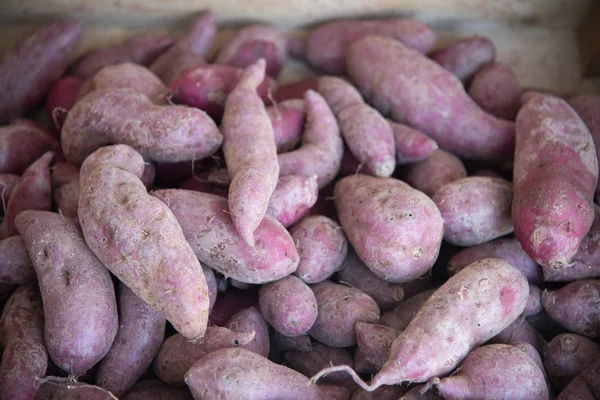 sweet japanese purple potato