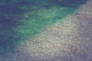 arka plan diffent renk çim çim 