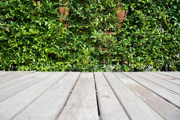 Dřevěný chodník a rostlinných pozadí — Stock fotografie