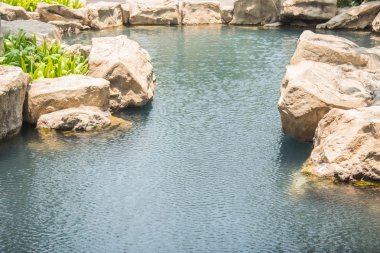 taş ve su birikintisi bahçe